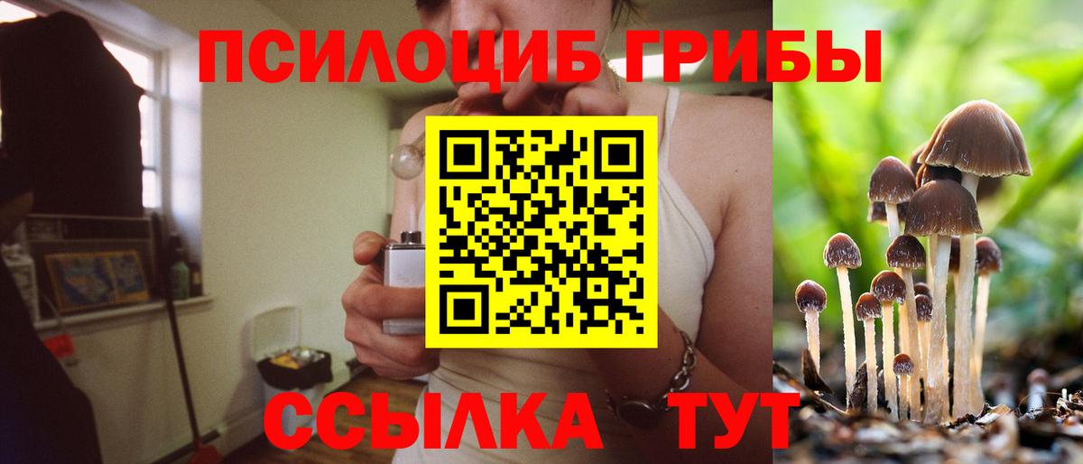 Орехово-Зуево  Галлюциногенные грибы Cubensis  Вход с VPN 